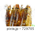 新鮮この上なし