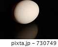 730749