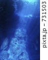 731503