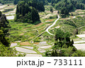 十日町大白倉の棚田