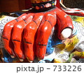 733226