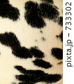 733302