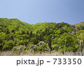 鮮やかな新緑の山