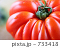 733418