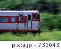 緑を駆ける