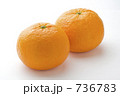 甘夏
