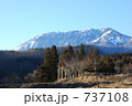 素材ナンバー 737108 : 「大山と森」