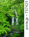 緒ヶ瀬滝(岩手県花巻市)