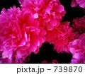 739870