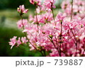 739887
