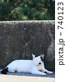 740123
