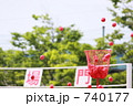 運動会