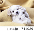 ちょっとだるいや