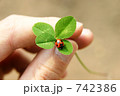手に持つしあわせ