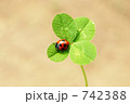 幸せに乗ったてんとう虫