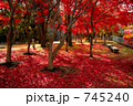 秋の岩手公園（盛岡城跡公園）