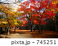 秋の岩手公園（盛岡城跡公園）