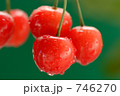 5個のさくらんぼ 5個のさくらんぼ