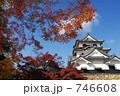 紅葉と彦根城
