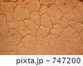 ベネズエラの乾いた大地