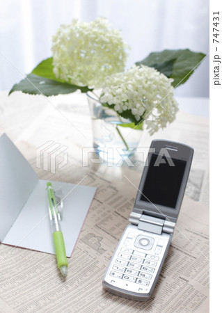 英字新聞 メモ帳 紫陽花