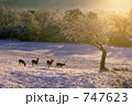 雪の行進