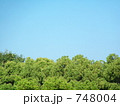 五月晴れー１