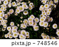 748546