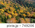 八幡平の紅葉