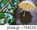 傘と紫陽花と遊歩道