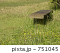 野の花とベンチ