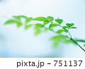 葉としずく