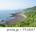 日南海岸の鬼の洗濯板