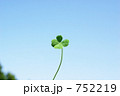 ハートの四ツ葉
