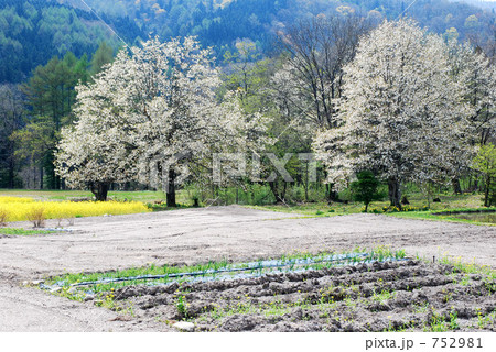 「白馬村の風景」の写真素材 「白馬村の風景」の写真素材