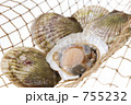 ほたて貝