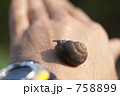 あの向こうへのんびりと