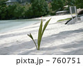 760751