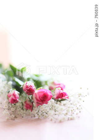Rose Rose