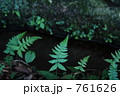 癒しの滝　17