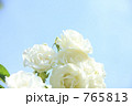 白いバラ