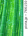 竹林