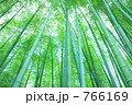 竹林