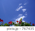 バラと空２