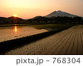 夕陽と水田