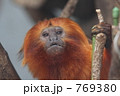 769380