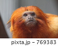 769383