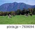 山と牧場