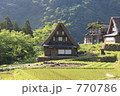 田んぼと合掌造り