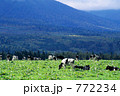 山麓の牧場